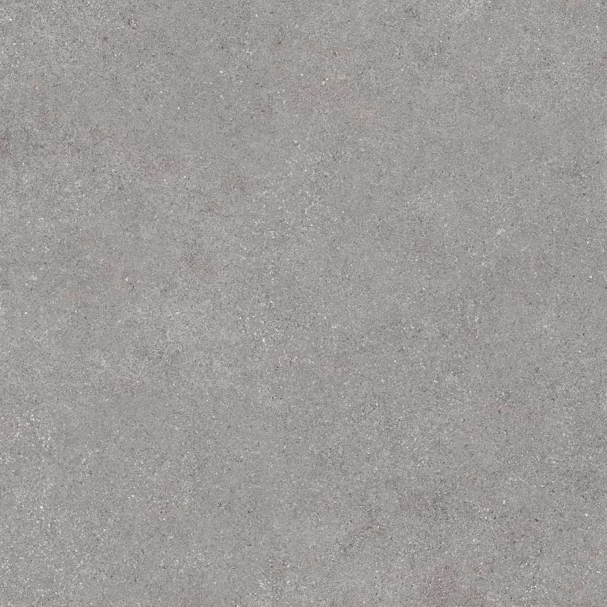 Плитка из керамогранита LN02 60x60x10 Непол.Рект. (Керамический гранит)