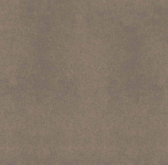 Плитка из керамогранита CA04 60x60x10 Непол.Рект. (Керамический гранит)