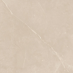 Плитка из керамогранита NL01 60x60x10 Полир. (Керамический гранит)
