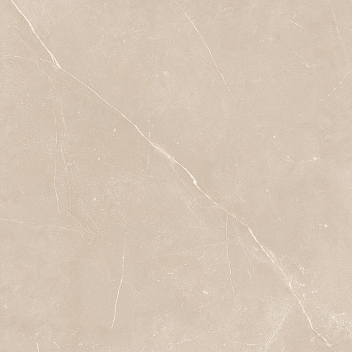 Плитка из керамогранита NL01 60x60x10 Полир. (Керамический гранит)