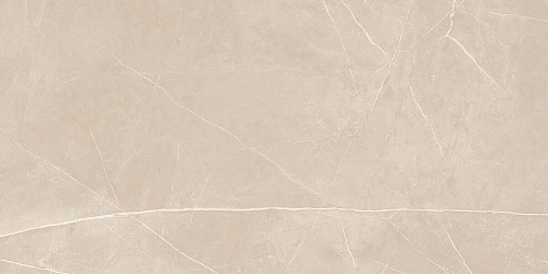 Плитка из керамогранита NL01 60x120x10 Непол.Рект. (Керамический гранит)