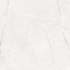 Плитка из керамогранита NL00 60x60x10 Полир. (Керамический гранит)