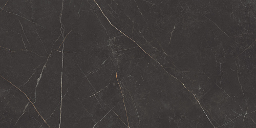 Плитка из керамогранита NL04 60x120x10 Непол.Рект. (Керамический гранит)