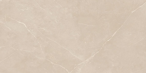 Плитка из керамогранита NL01 60x120x10 Непол.Рект. (Керамический гранит)