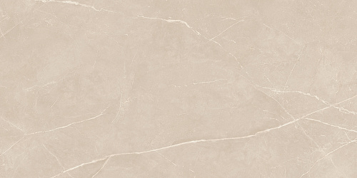 Плитка из керамогранита NL01 60x120x10 Полир. (Керамический гранит)