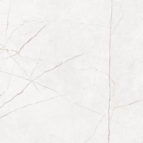 Плитка из керамогранита NL00 60x60x10 Полир. (Керамический гранит)