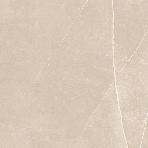 Плитка из керамогранита NL01 60x60x10 Полир. (Керамический гранит)