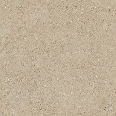 Плитка из керамогранита NP02 40,5x40,5x8 Непол. (Керамический гранит) (43,296 м2)