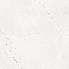 Плитка из керамогранита NL00 60x60x10 Полир. (Керамический гранит)
