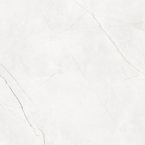 Плитка из керамогранита NL00 60x60x10 Полир. (Керамический гранит)