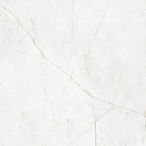 Плитка из керамогранита NL00 60x60x10 Полир. (Керамический гранит)