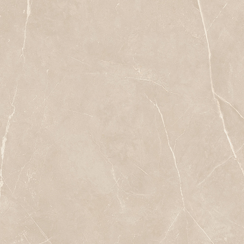 Плитка из керамогранита NL01 60x60x10 Полир. (Керамический гранит)