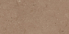 Плитка из керамогранита NP03 30,6x60,9x8 Непол. (Керамический гранит)