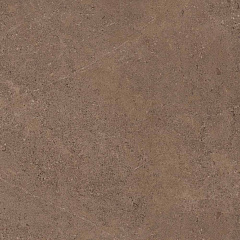 Плитка из керамогранита GO02 60x60 Непол.Рект. (Керамический гранит)
