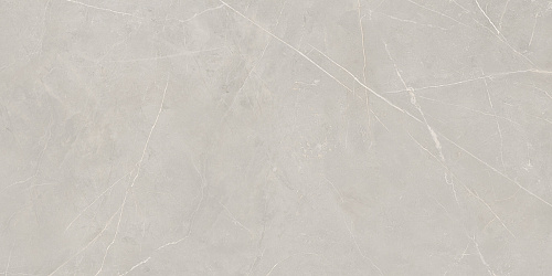 Плитка из керамогранита NL02 60x120x10 Полир. (Керамический гранит)