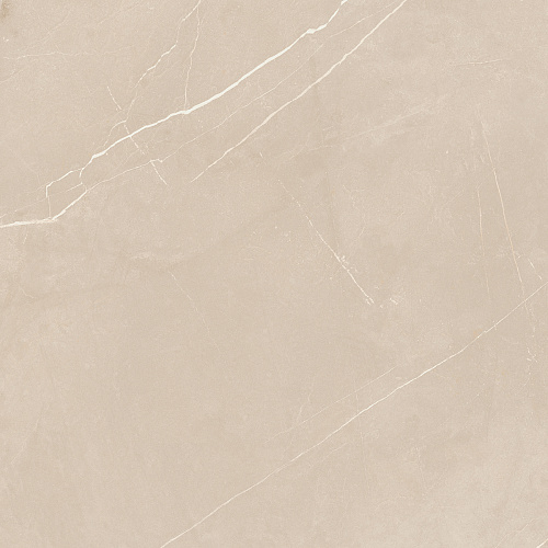 Плитка из керамогранита NL01 60x60x10 Полир. (Керамический гранит)