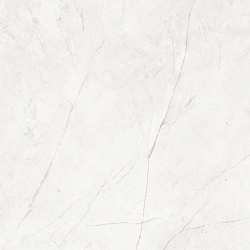 Плитка из керамогранита NL00 60x60x10 Полир. (Керамический гранит)