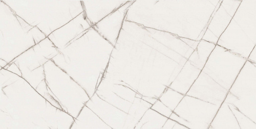 Плитка из керамогранита EXM102 60x120x9 Непол.Рект. (Керамический гранит)