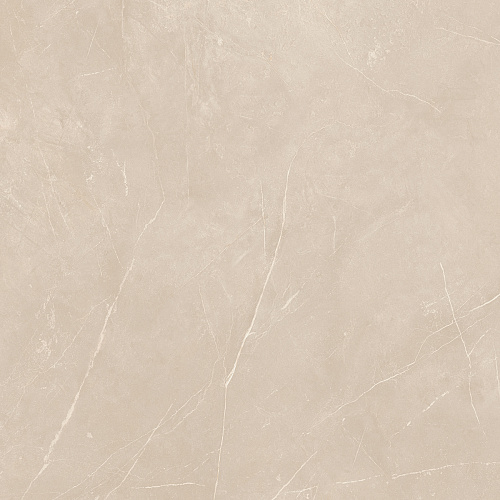 Плитка из керамогранита NL01 60x60x10 Полир. (Керамический гранит)