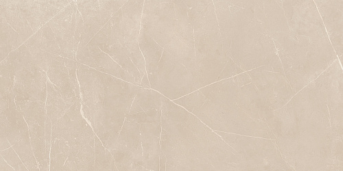 Плитка из керамогранита NL01 60x120x10 Полир. (Керамический гранит)