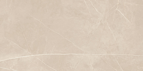 Плитка из керамогранита NL01 60x120x10 Полир. (Керамический гранит)