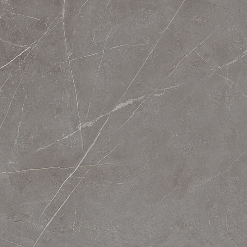 Плитка из керамогранита NL03 60x60x10 Непол.Рект. (Керамический гранит)