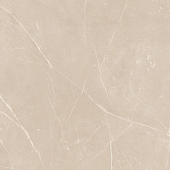 Плитка из керамогранита NL01 60x60x10 Полир. (Керамический гранит)