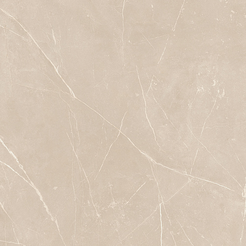 Плитка из керамогранита NL01 60x60x10 Полир. (Керамический гранит)
