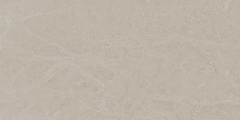 Плитка из керамогранита MOG202 60x120x9 Полир. (Керамический гранит)