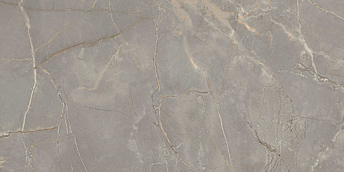 Плитка из керамогранита BR03 60x120x10 Полир. (Керамический гранит)