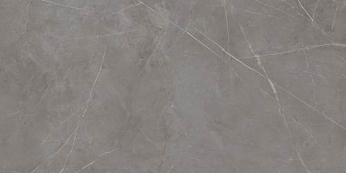 Плитка из керамогранита NL03 60x120x10 Непол.Рект. (Керамический гранит)