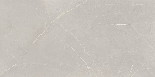 Плитка из керамогранита NL02 60x120x10 Непол.Рект. (Керамический гранит)