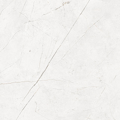 Плитка из керамогранита NL00 60x60x10 Полир. (Керамический гранит)