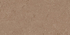 Плитка из керамогранита NP03 30,6x60,9x8 Непол. (Керамический гранит)