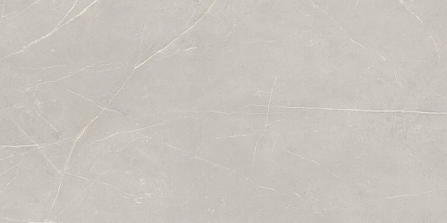 Плитка из керамогранита NL02 60x120x10 Непол.Рект. (Керамический гранит)