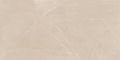Плитка из керамогранита NL01 60x120x10 Полир. (Керамический гранит)
