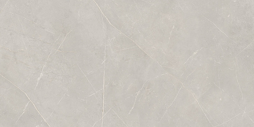 Плитка из керамогранита NL02 60x120x10 Непол.Рект. (Керамический гранит)