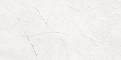 Плитка из керамогранита NL00 60x120x10 Полир. (Керамический гранит)