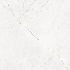 Плитка из керамогранита NL00 60x60x10 Полир. (Керамический гранит)