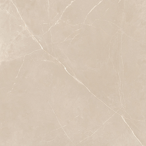 Плитка из керамогранита NL01 60x60x10 Полир. (Керамический гранит)