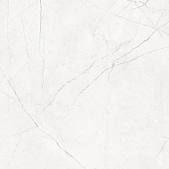 Плитка из керамогранита NL00 60x60x10 Полир. (Керамический гранит)