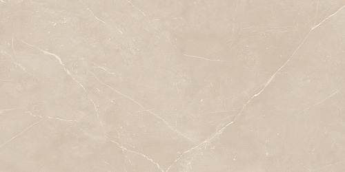 Плитка из керамогранита NL01 60x120x10 Полир. (Керамический гранит)