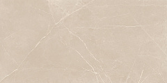 Плитка из керамогранита NL01 60x120x10 Непол.Рект. (Керамический гранит)