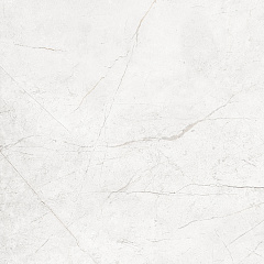 Плитка из керамогранита NL00 60x60x10 Полир. (Керамический гранит)