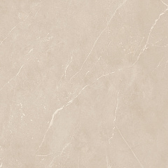 Плитка из керамогранита NL01 60x60x10 Полир. (Керамический гранит)