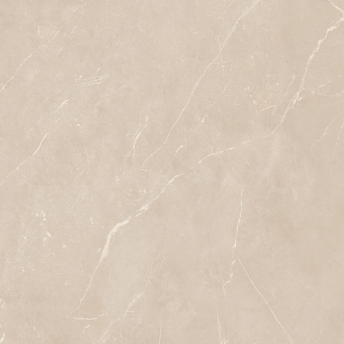 Плитка из керамогранита NL01 60x60x10 Полир. (Керамический гранит)