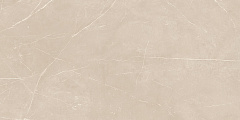 Плитка из керамогранита NL01 60x120x10 Полир. (Керамический гранит)