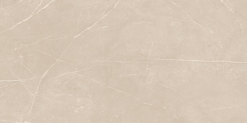 Плитка из керамогранита NL01 60x120x10 Полир. (Керамический гранит)