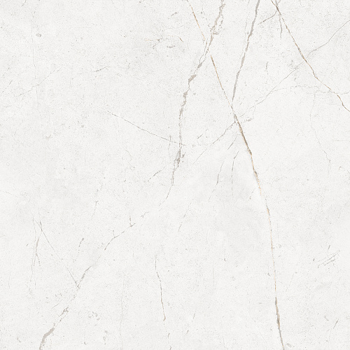 Плитка из керамогранита NL00 60x60x10 Полир. (Керамический гранит)
