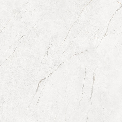 Плитка из керамогранита NL00 60x60x10 Полир. (Керамический гранит)